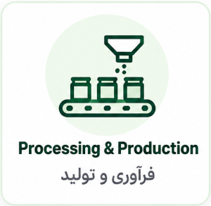 فراوری و تولید